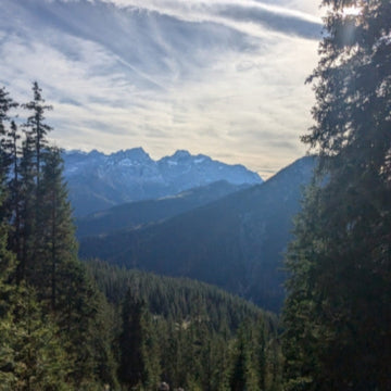 Exploring Nature with Vivobarefoot Men's Tracker Forest ESC Boots