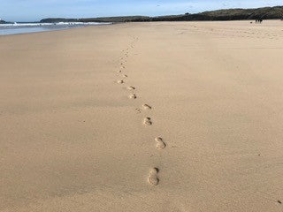 Footprints in the sand.