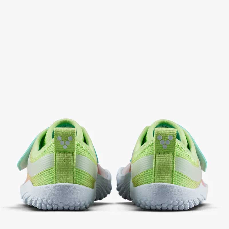 Pair of Vivobarefoot Toddler Trainers Primus IV - Ombre, rear view.