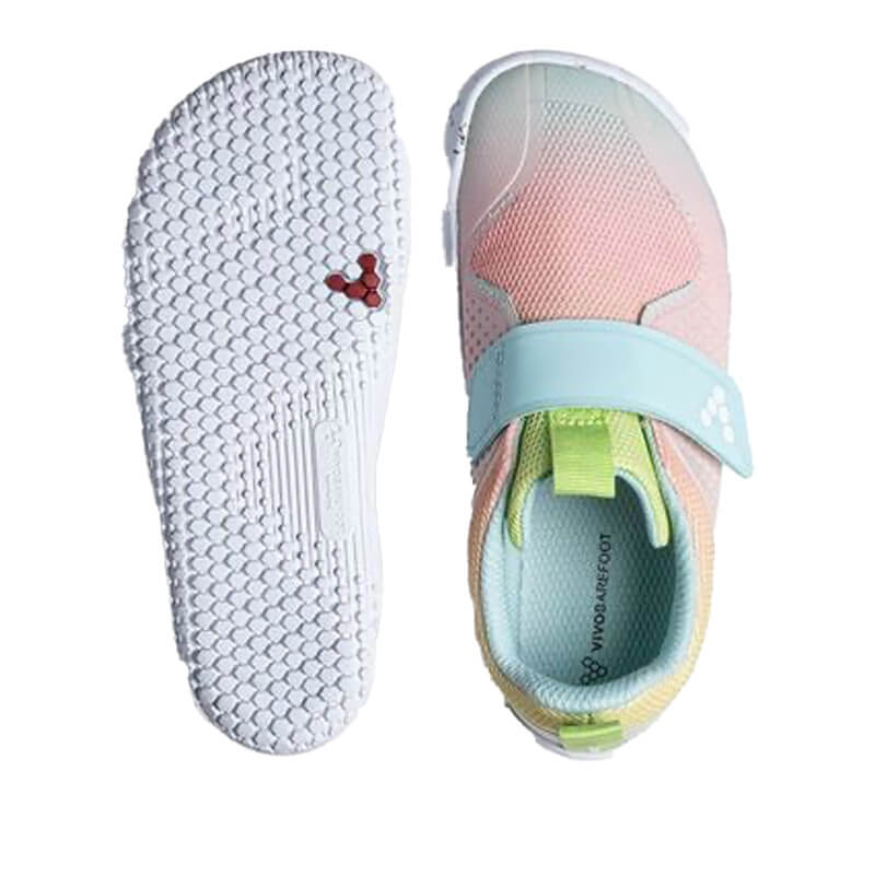 Vivobarefoot Kids Trainers Primus III - Ombre