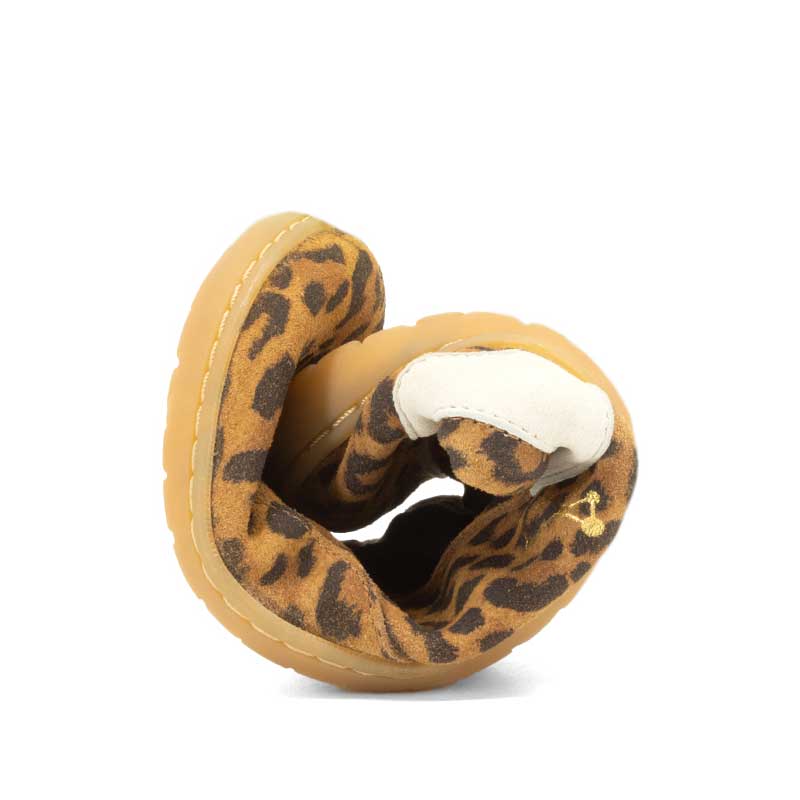 Mukishoes Trainer Lyra - Leo, rolled up.