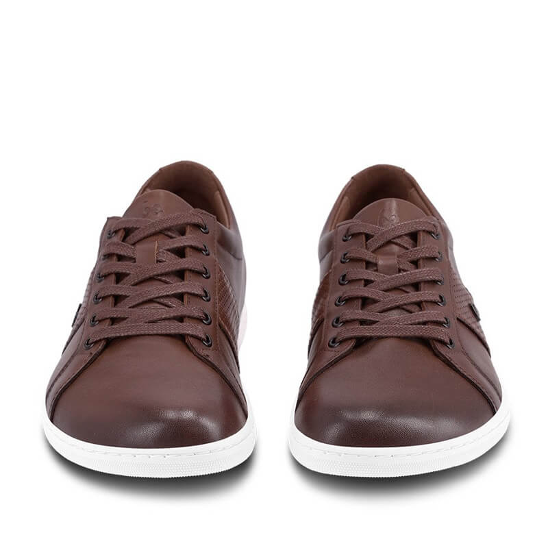 Pair of Be Lenka Adults Trainers Elite - Dark Brown, front view showing laces