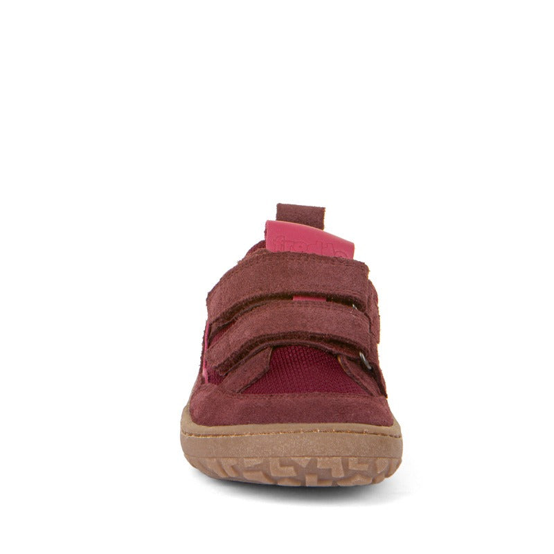 Froddo Barefoot Sports Shoe in Bordeaux, front view.